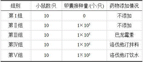 Application of lovastatin in preparation of drugs for resisting cryptosporidium parvum