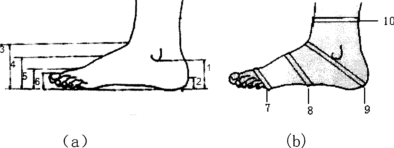 Three-dimensional foot type measuring and modeling method based on specific grid pattern