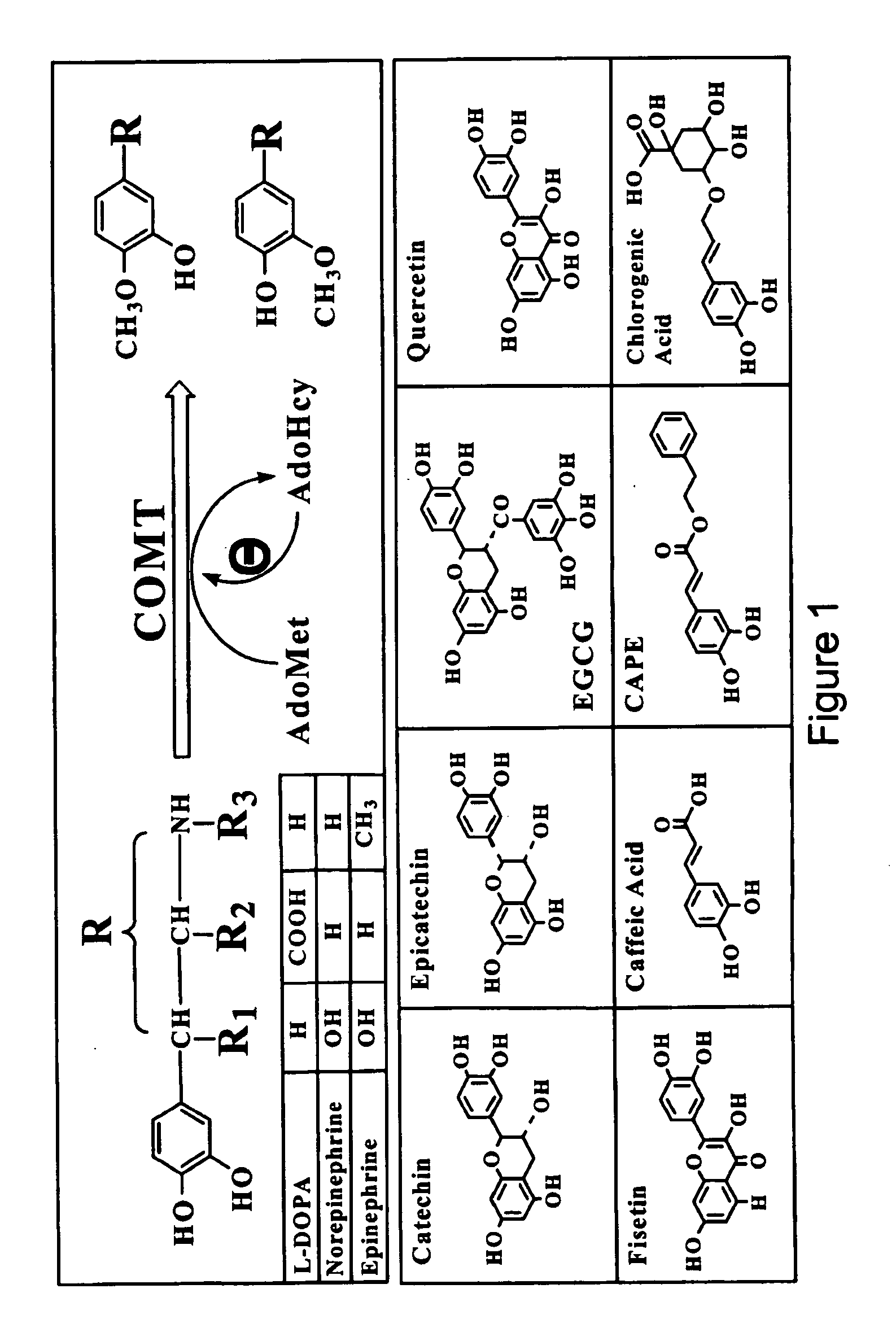 Method and Composition for the Treatment of Parkinson's Disease