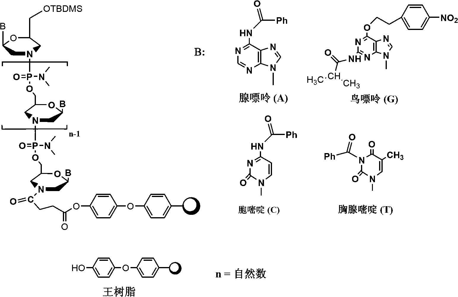 Phosphorodiamidate morpholino oligomer synthetized by solid phase and method thereof