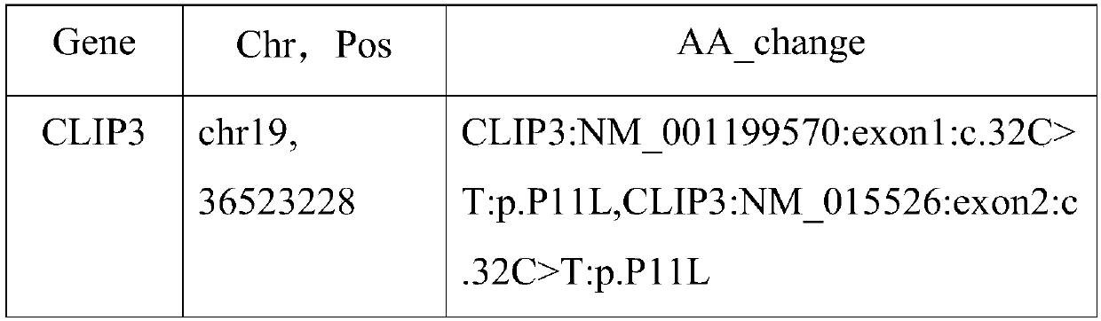 Application of SNP bite of CLIP3 gene