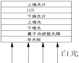 Quantum dot blue light filtering film and display thereof