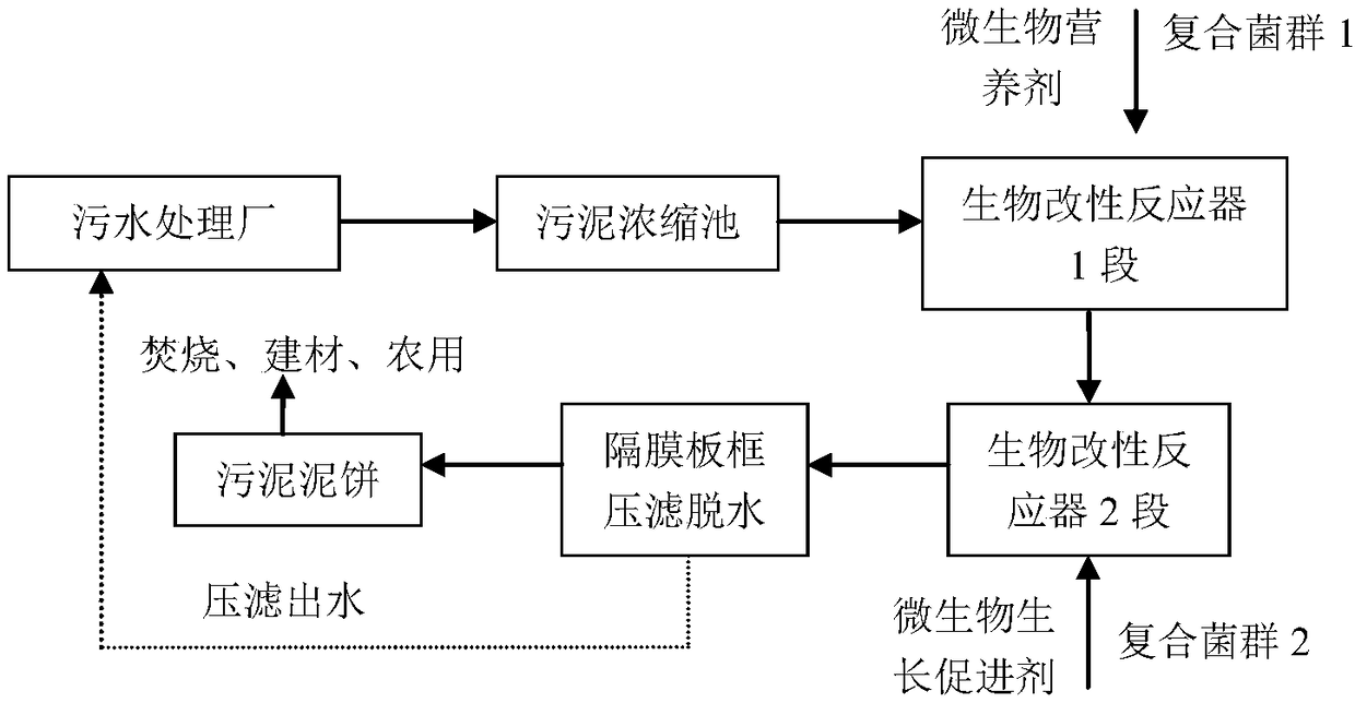 A biological modification method for deep dehydration of sludge