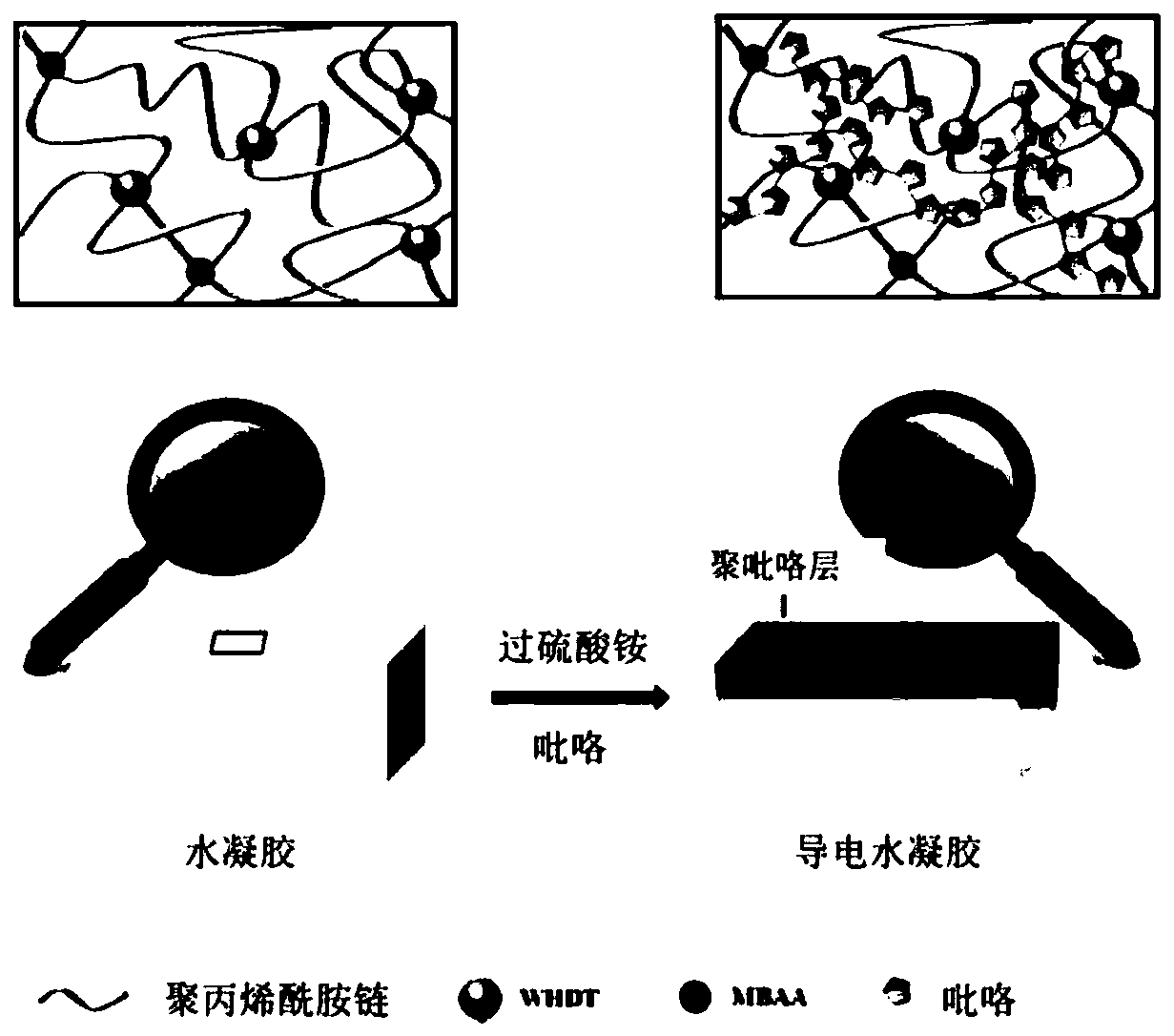 Hydrogel flexible strain sensor with low Young modulus