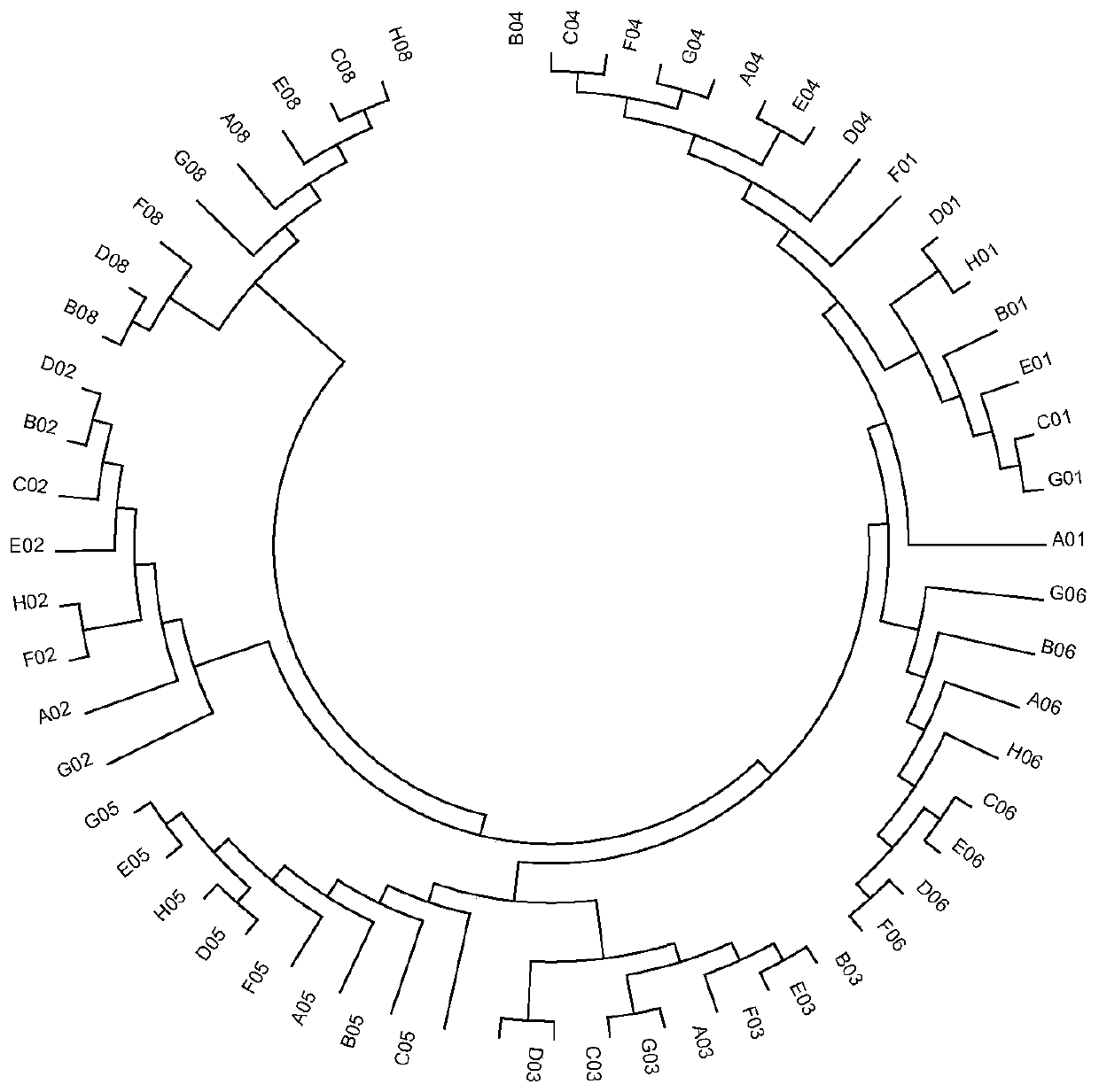 Universal SNP molecular marker panel and its application in salmon and trout