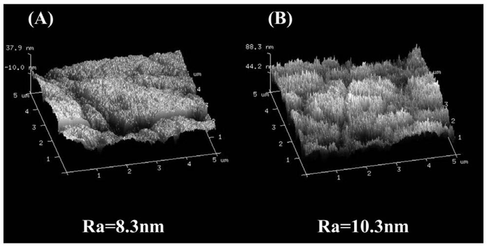 Sensor capable of rapidly detecting antibiotics in water environment and detection method