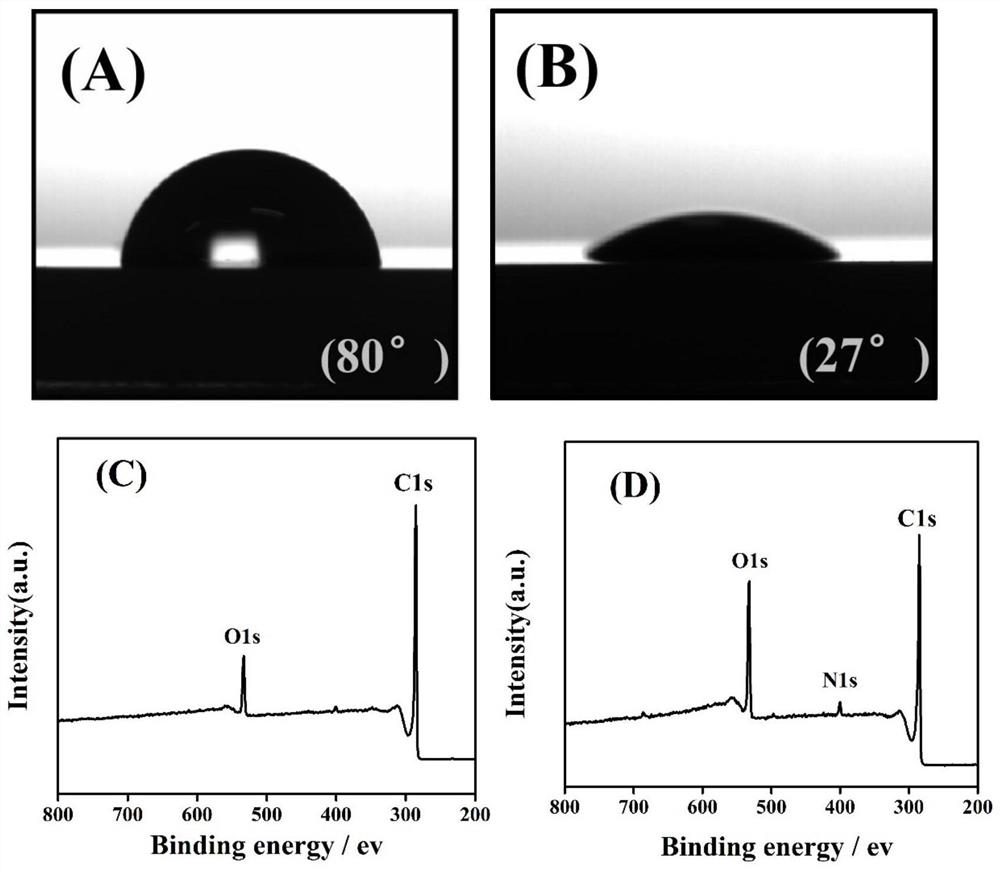 Sensor capable of rapidly detecting antibiotics in water environment and detection method