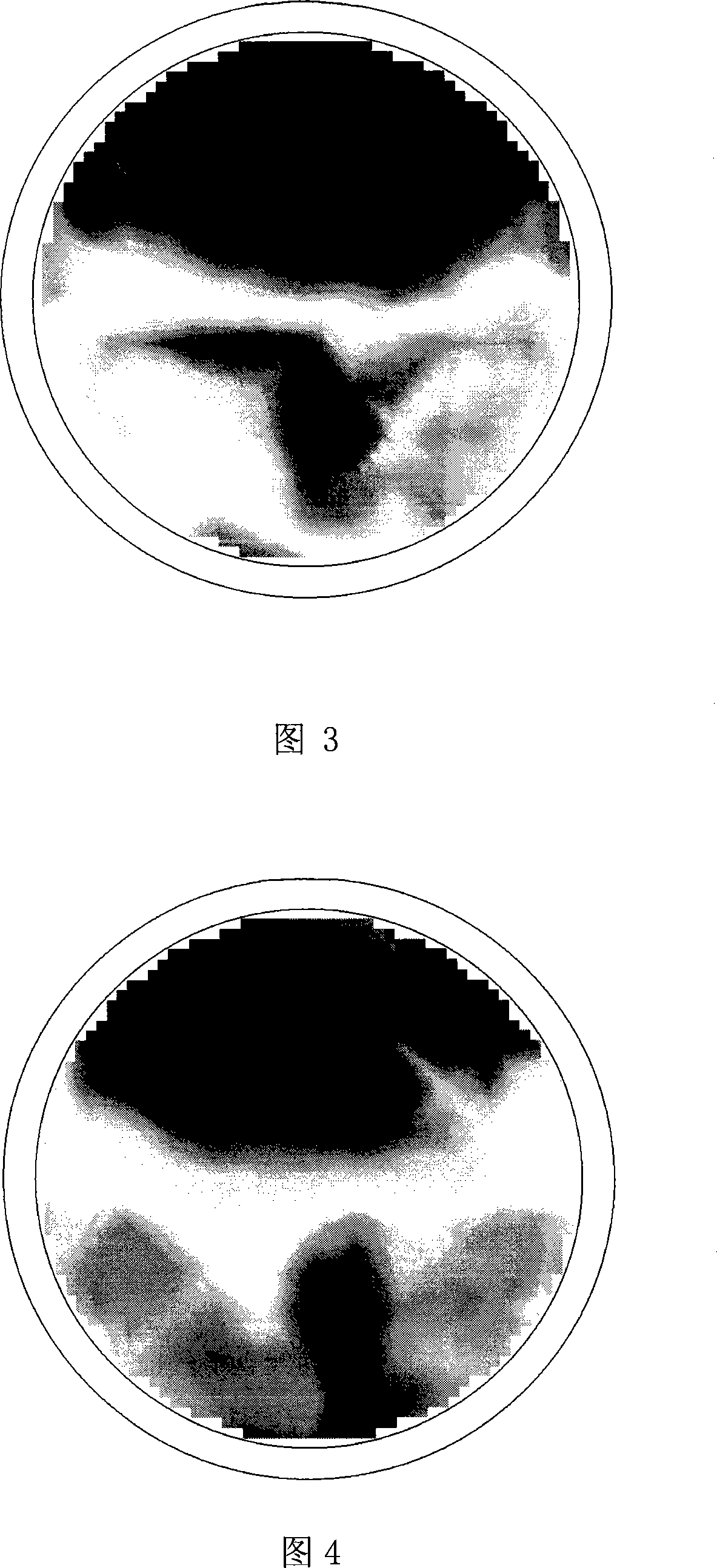 Non-contact type electric impedance sensor and image rebuilding method based on the sensor
