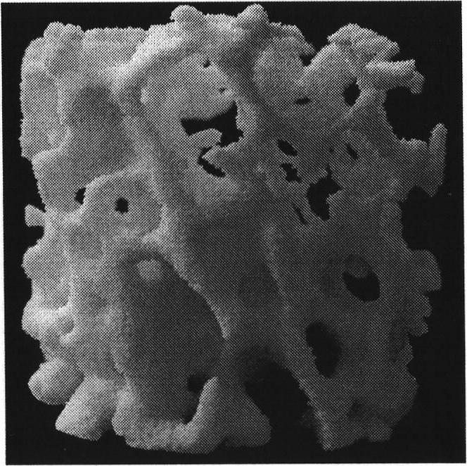 Stereolithography-based process for manufacturing porous structure of bionic scaffold