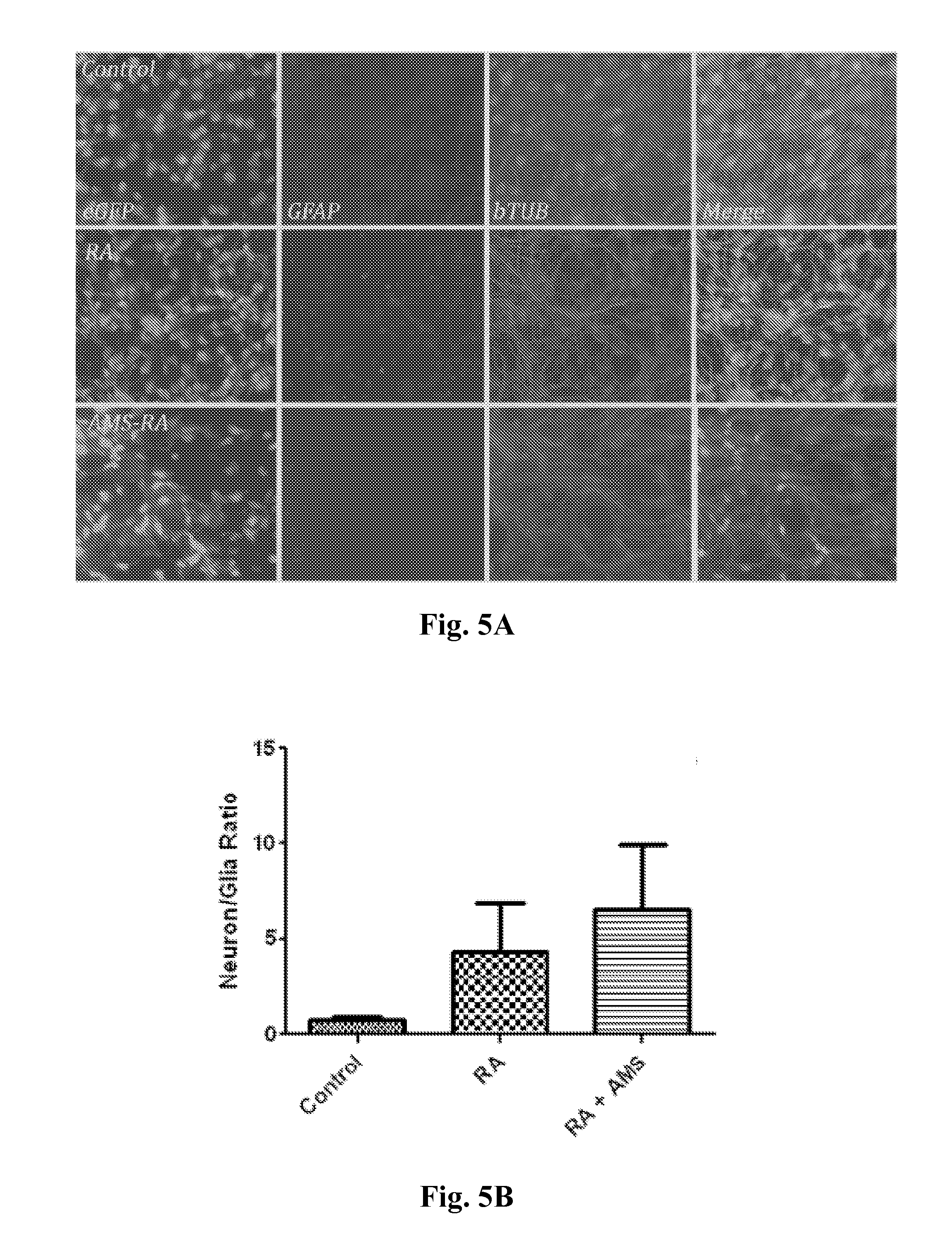 Method for stem cell differentiation in vivo by delivery of morphogenes with mesoporous silica and corresponding pharmceutical active ingredients
