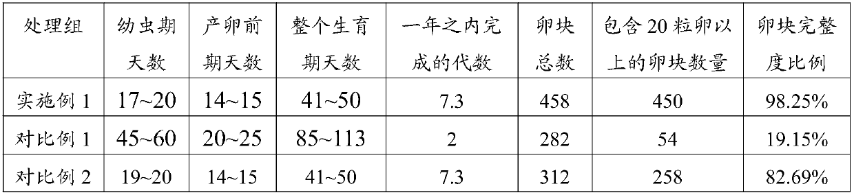 Method for artificially breeding locusts and collecting locust eggs