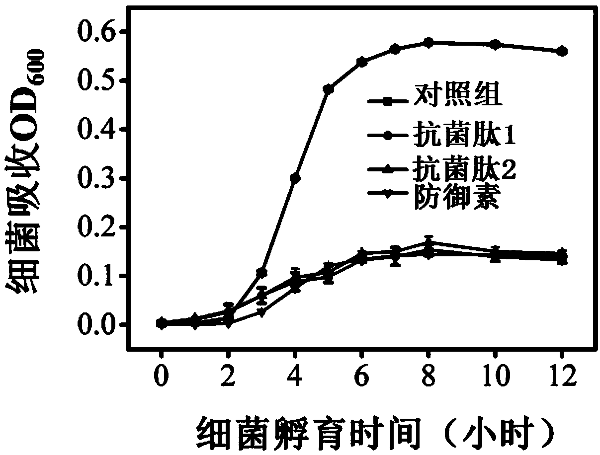 Anti-bacterial peptide, anti-bacterial peptide hydrogel and preparation method of anti-bacterial peptide hydrogel