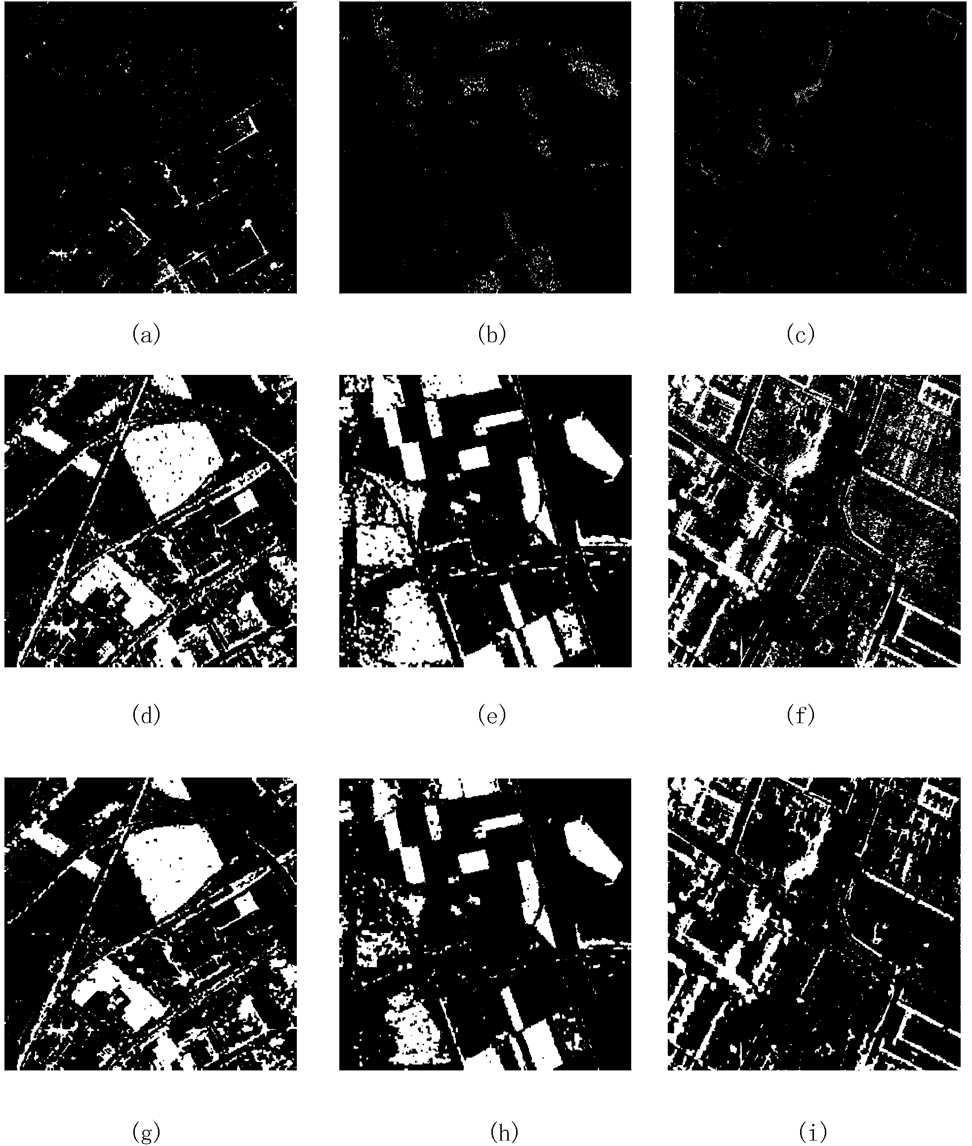 SAR image segmentation method based on triple discrimination random field