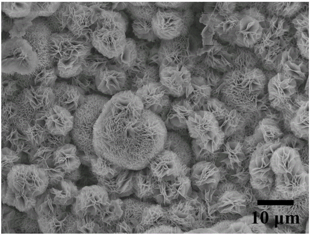 NiSe2 transition metal chalcogenide nanosheet as well as preparation method and application thereof