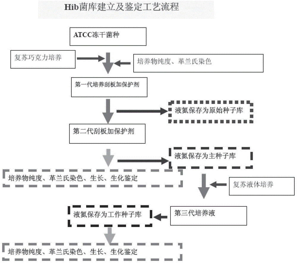 A kind of preparation method of Haemophilus influenzae type b polysaccharide conjugate vaccine