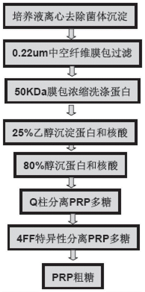 A kind of preparation method of Haemophilus influenzae type b polysaccharide conjugate vaccine