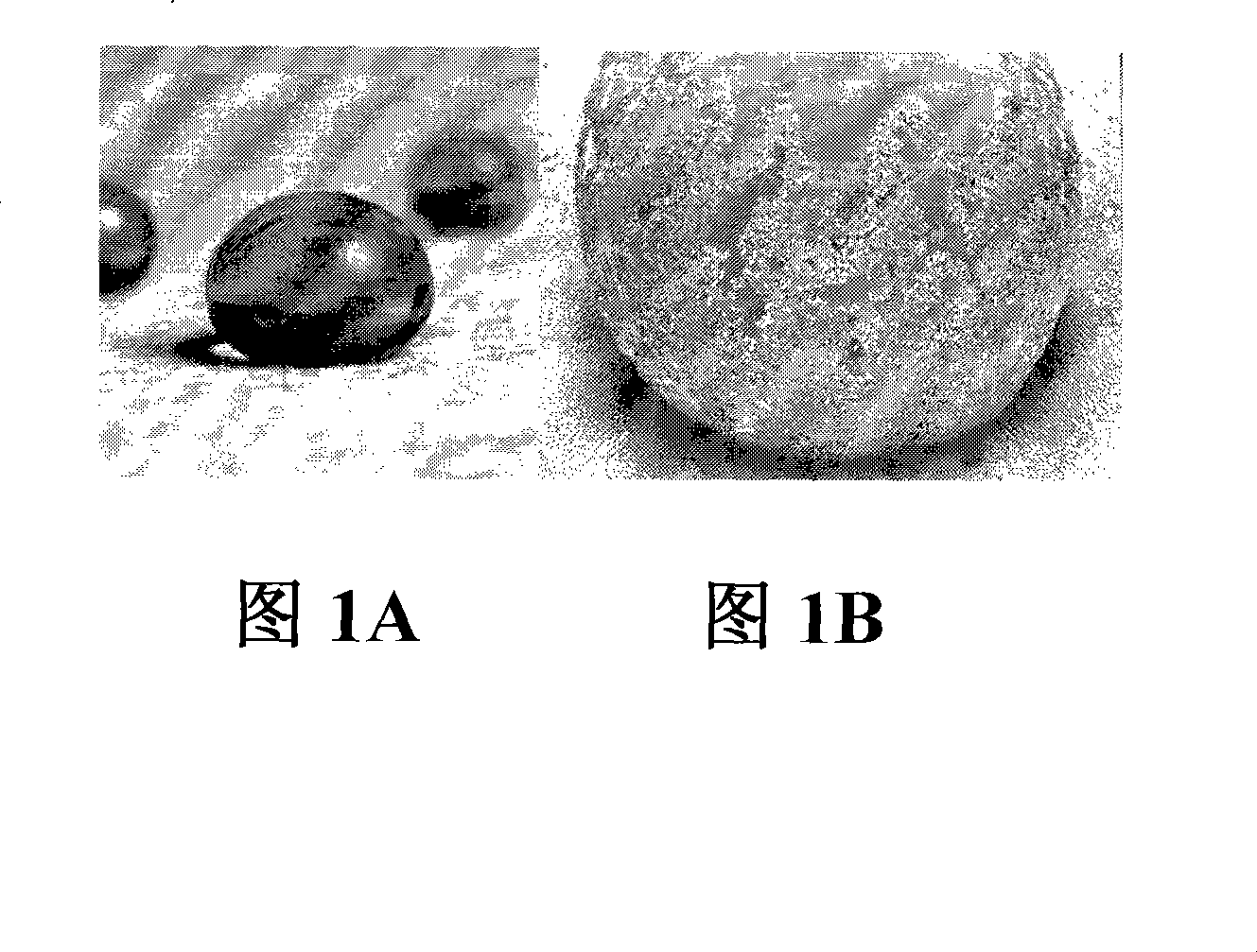 Superhydrophobic surface and method for forming same