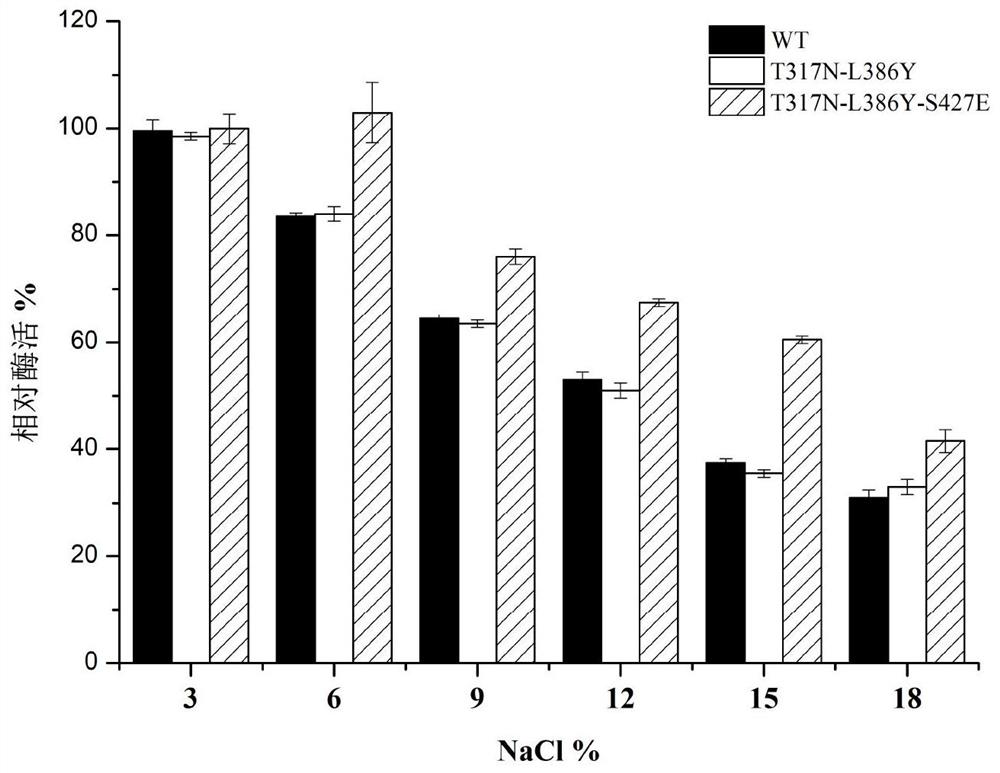 A Mutant of Multicopper Oxidase with Improved Salt Tolerance