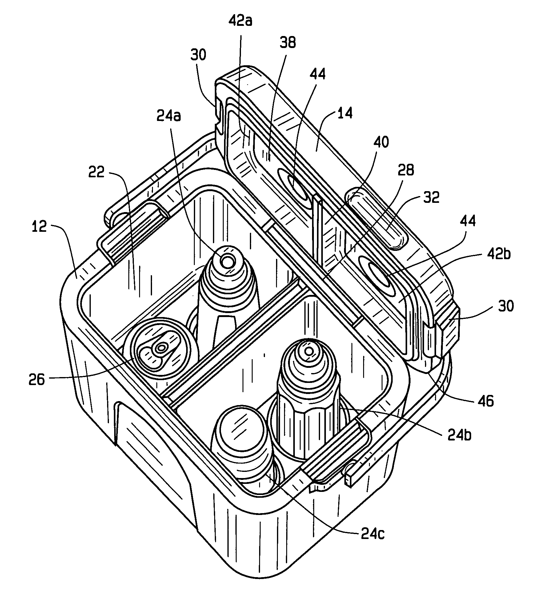 Insulated storage container having a removable liner