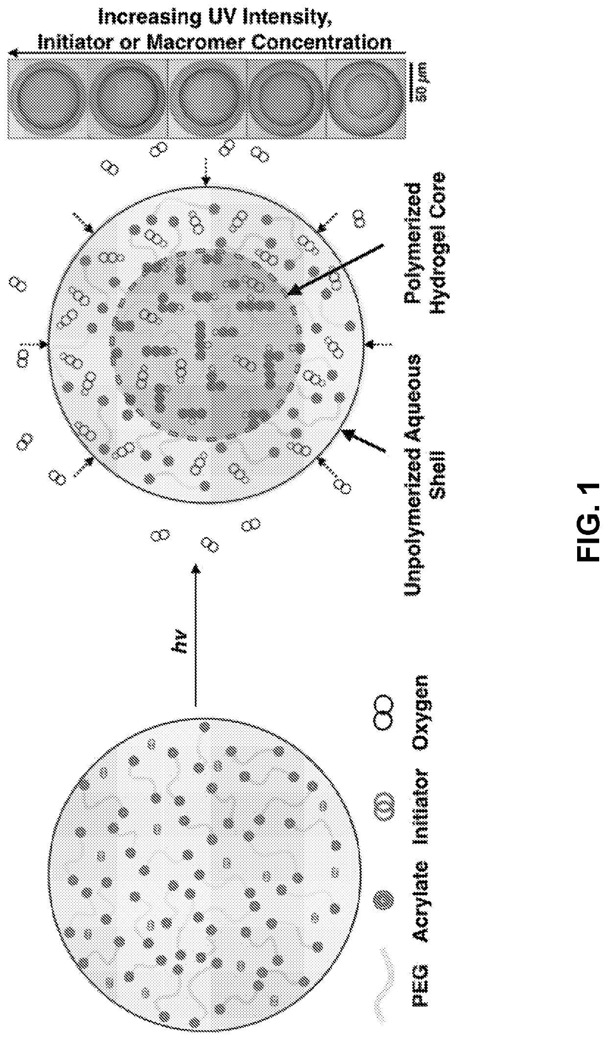 Exploiting oxygen inhibited photopolymerization within emulsion droplets for the fabrication of microparticles with customizable properties