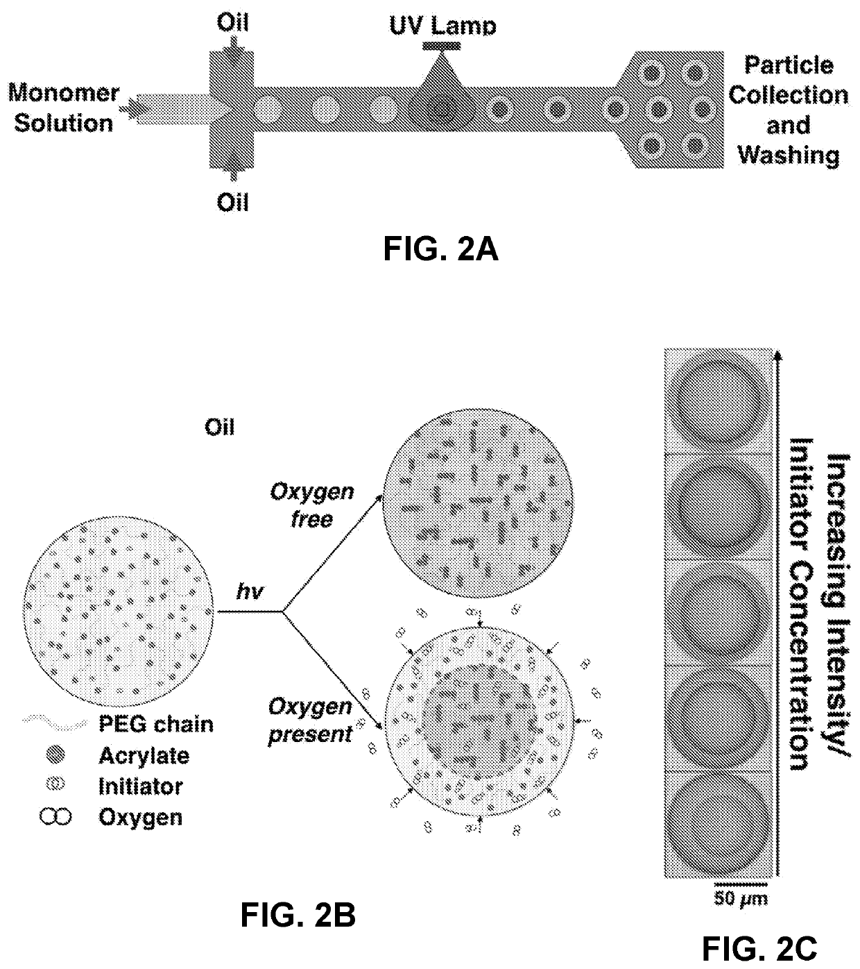 Exploiting oxygen inhibited photopolymerization within emulsion droplets for the fabrication of microparticles with customizable properties