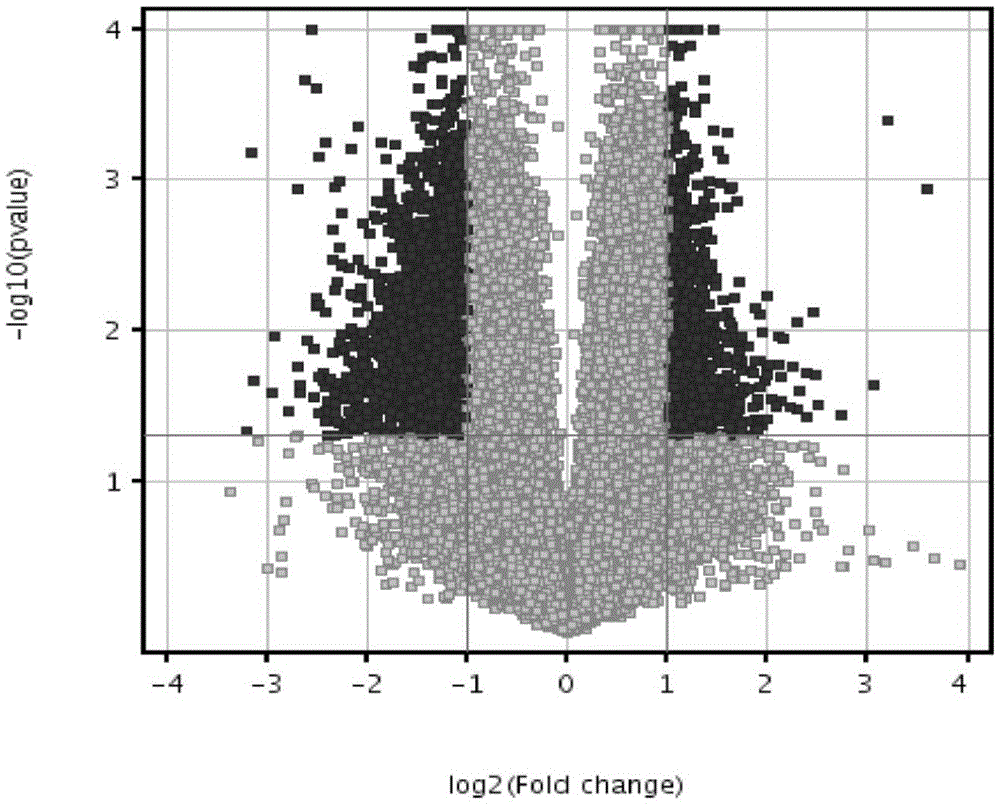 LncRNA marker, kit and gene chip for depression diagnosis