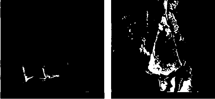 Molybdenum disulfide/polyferrocenyl Schiff base composite material and preparation method thereof