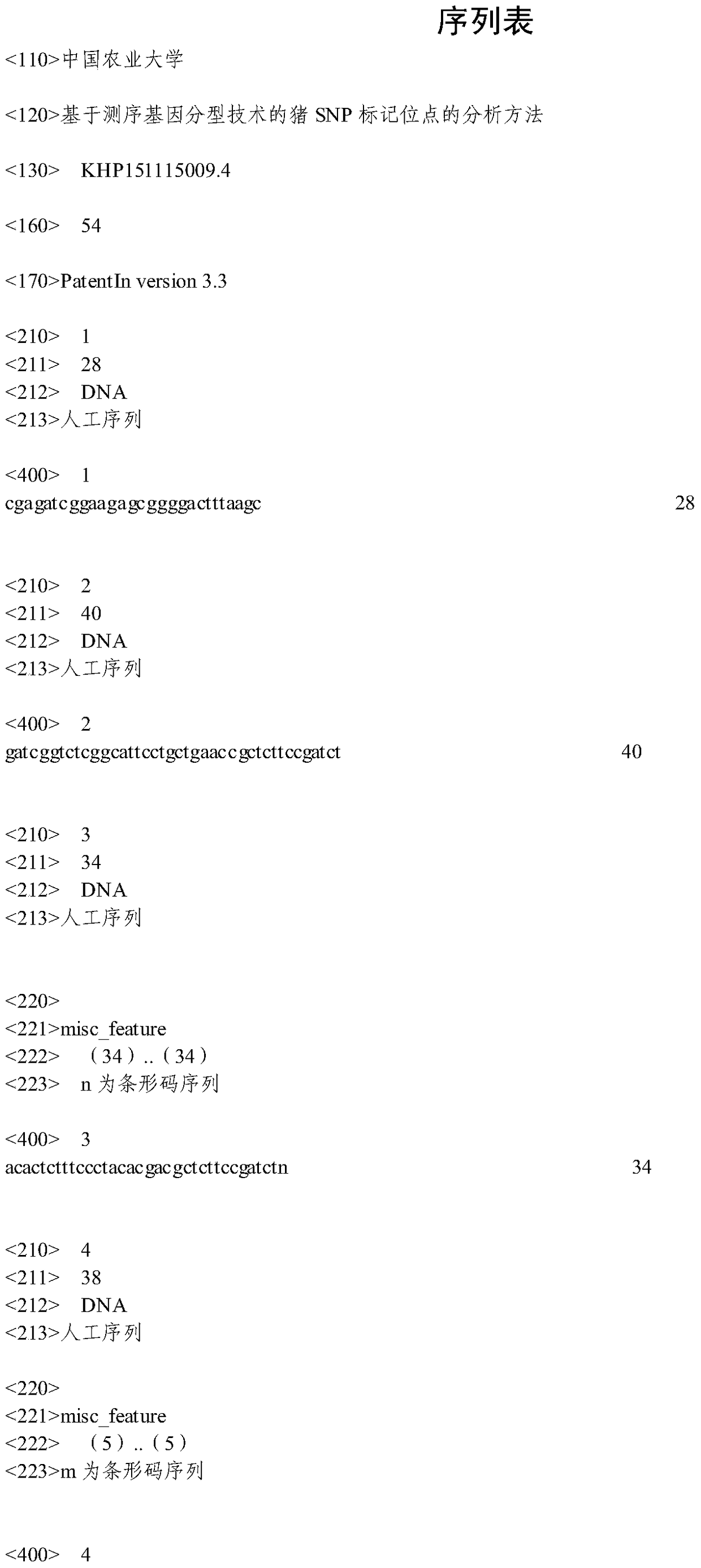 Analysis method of porcine SNP marker loci based on sequencing genotyping technology