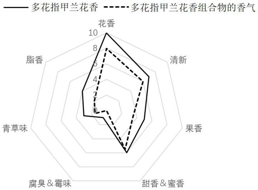 Aerides rosea fragrance composition as well as preparation method and application thereof