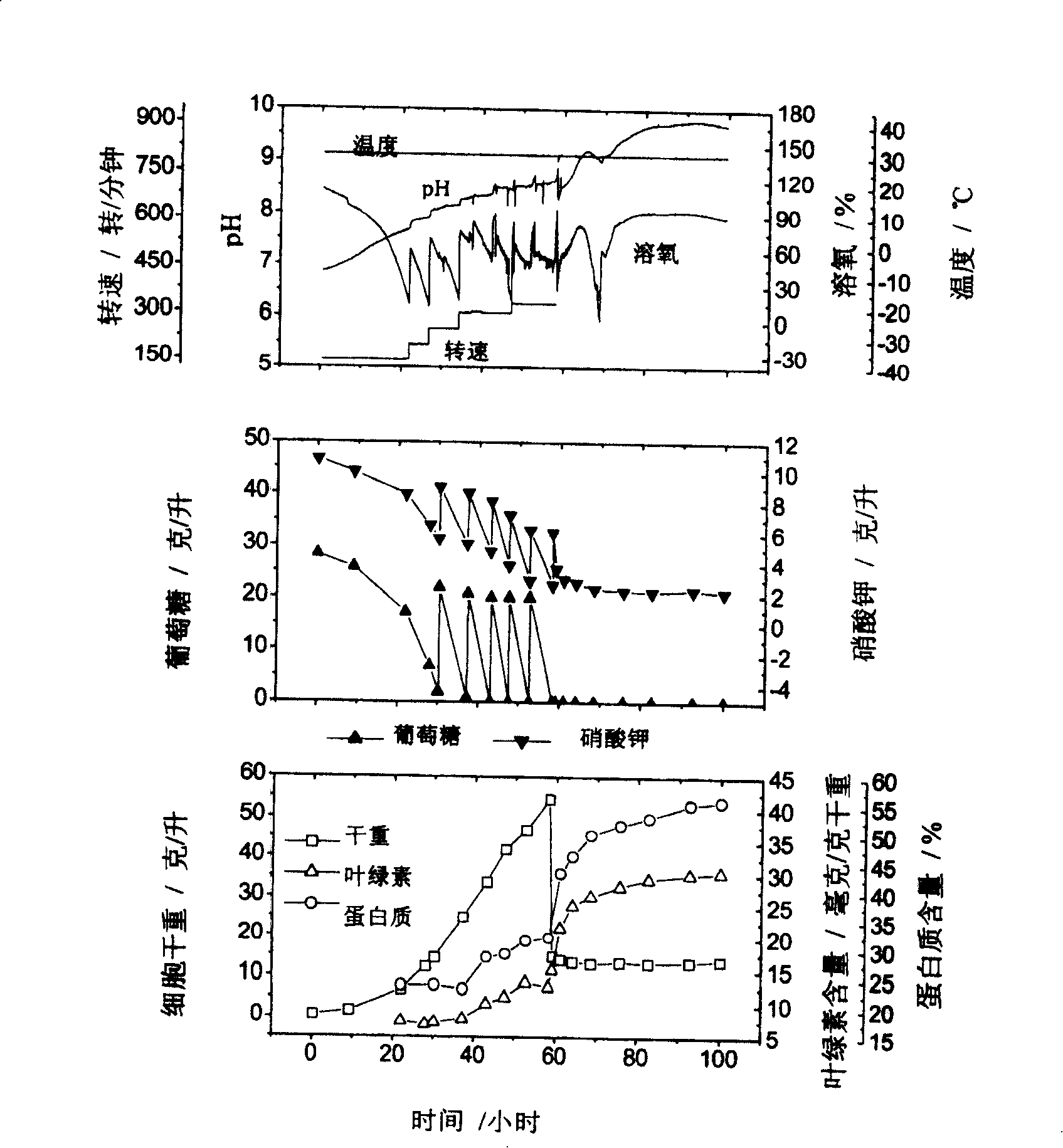 Method for culturing chlorella with high-density and high-quality