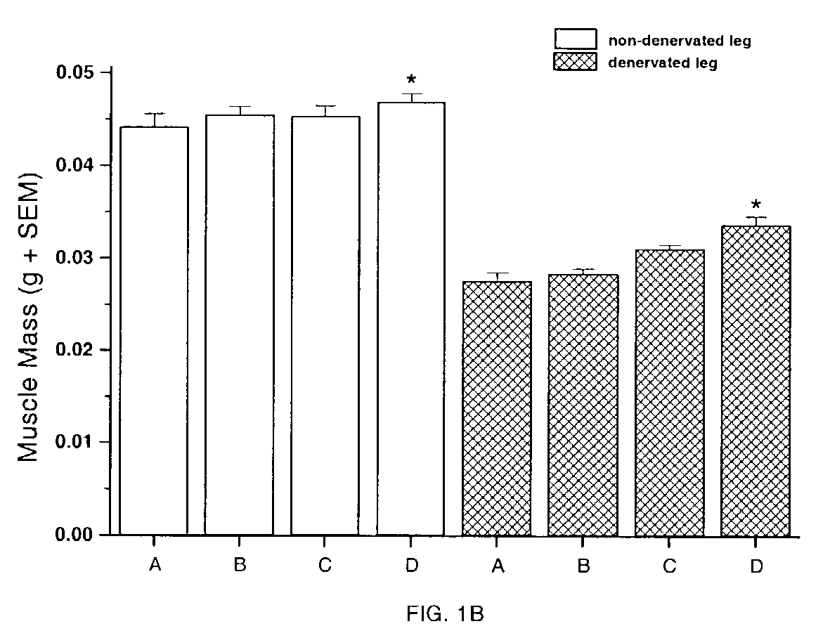 Methods for identifying compounds for regulating muscle mass or function using dopamine receptors