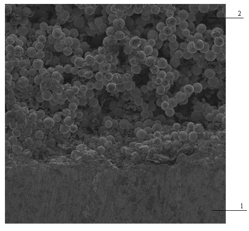 Bio-medicinal porous titanium material and preparation method thereof