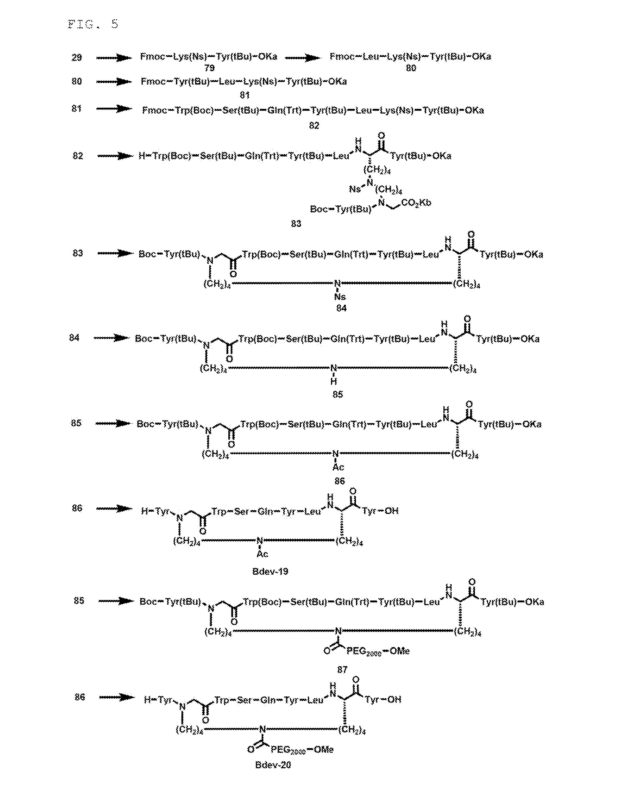 Novel cross-linked peptides containing non-peptide cross-linked structure, method for synthesizing cross-linked peptides, and novel organic compound used in method