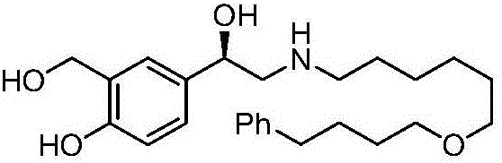 Synthesis method of R-salmeterol