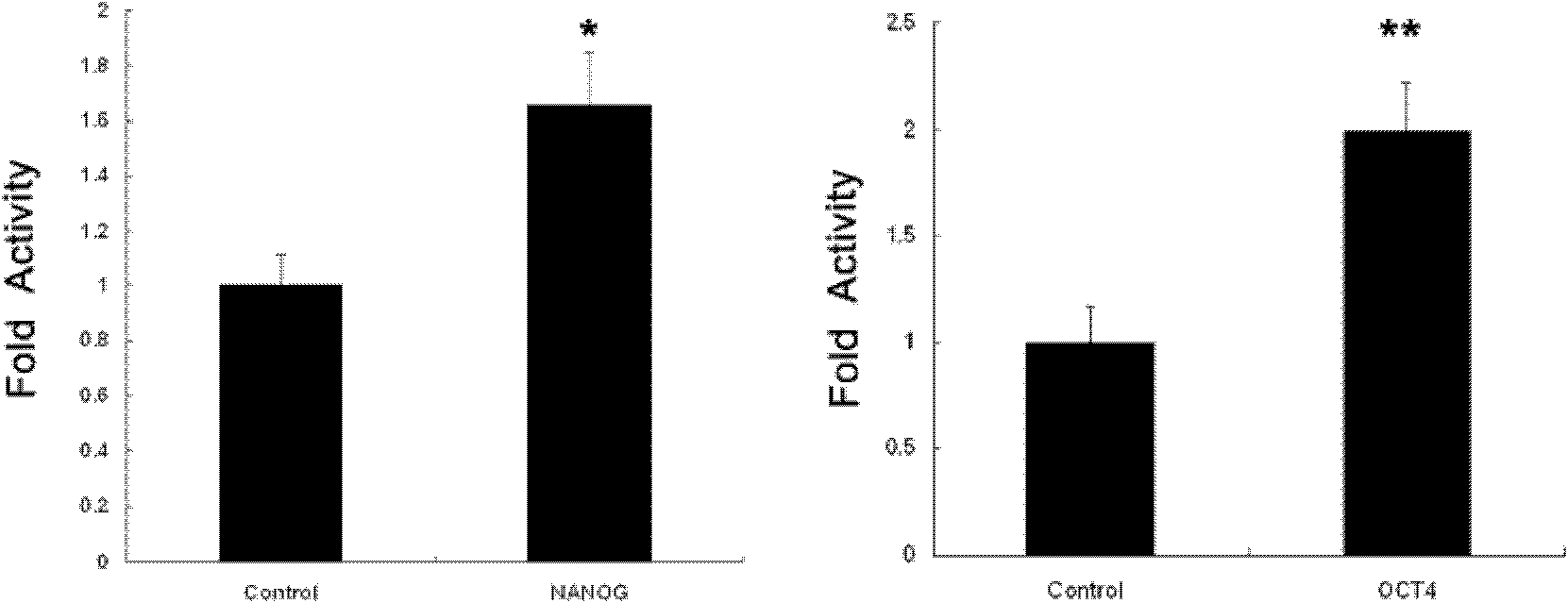 Fusion protein TAT (transactivator of transcription)-OCT4 (octamer-binding transcription factor 4), and coding gene and application thereof