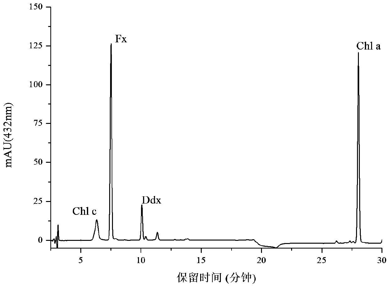 Method for extracting and separating fucoxanthin from marine unicellular diatom