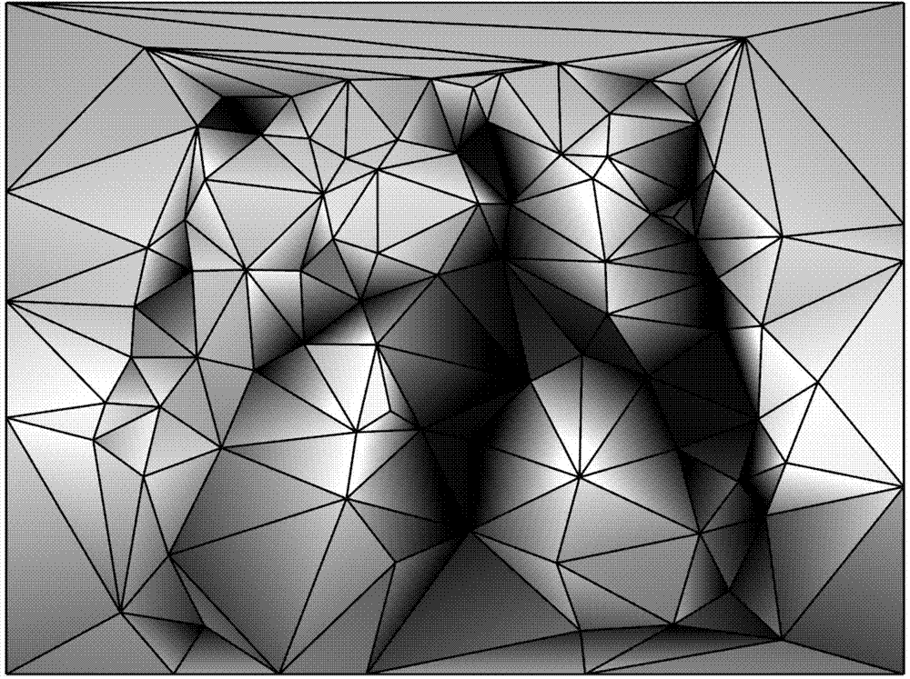 Image self-adaptive grid generation variational method