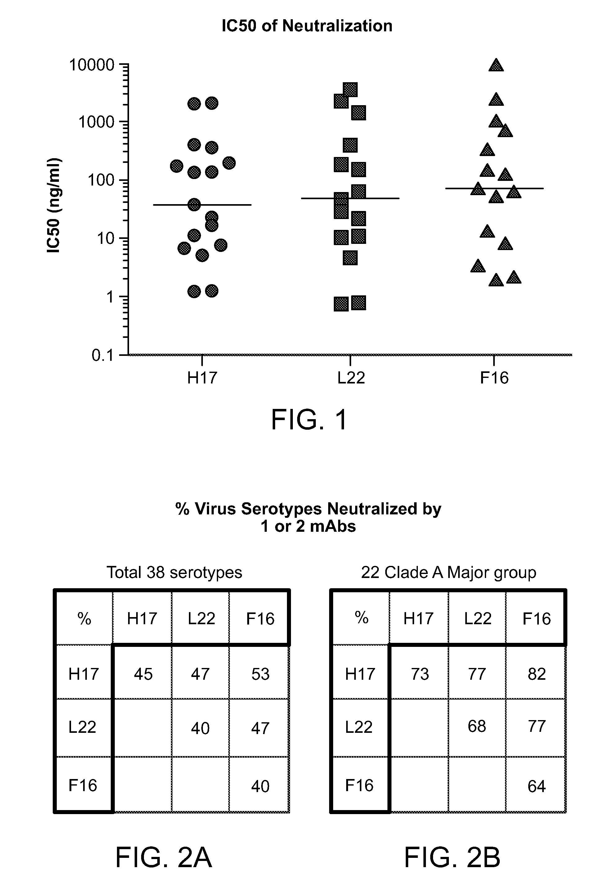 Human rhinovirus (HRV) antibodies