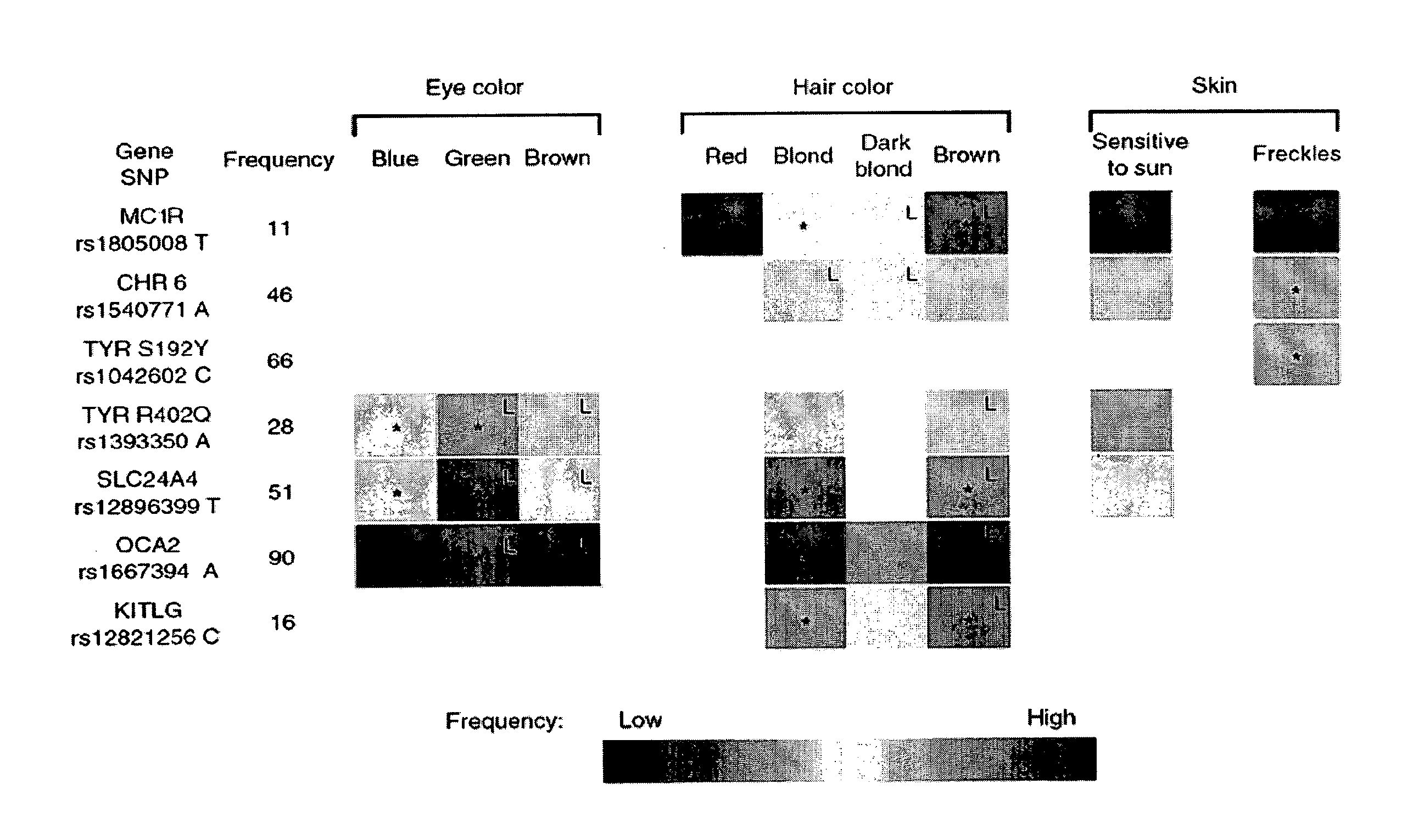 Sequence variants for inferring human pigmentation patterns