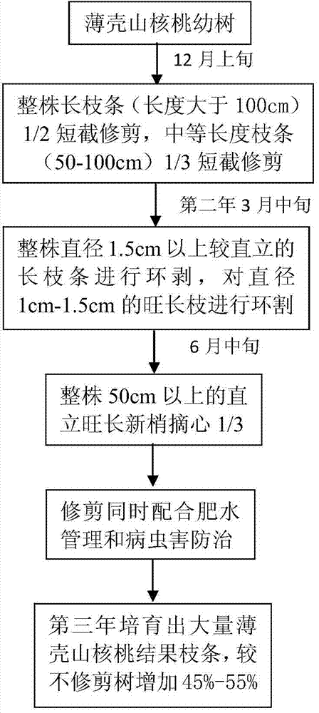 Method for yearly pruning apocarya for multiple bearing branch cultivation