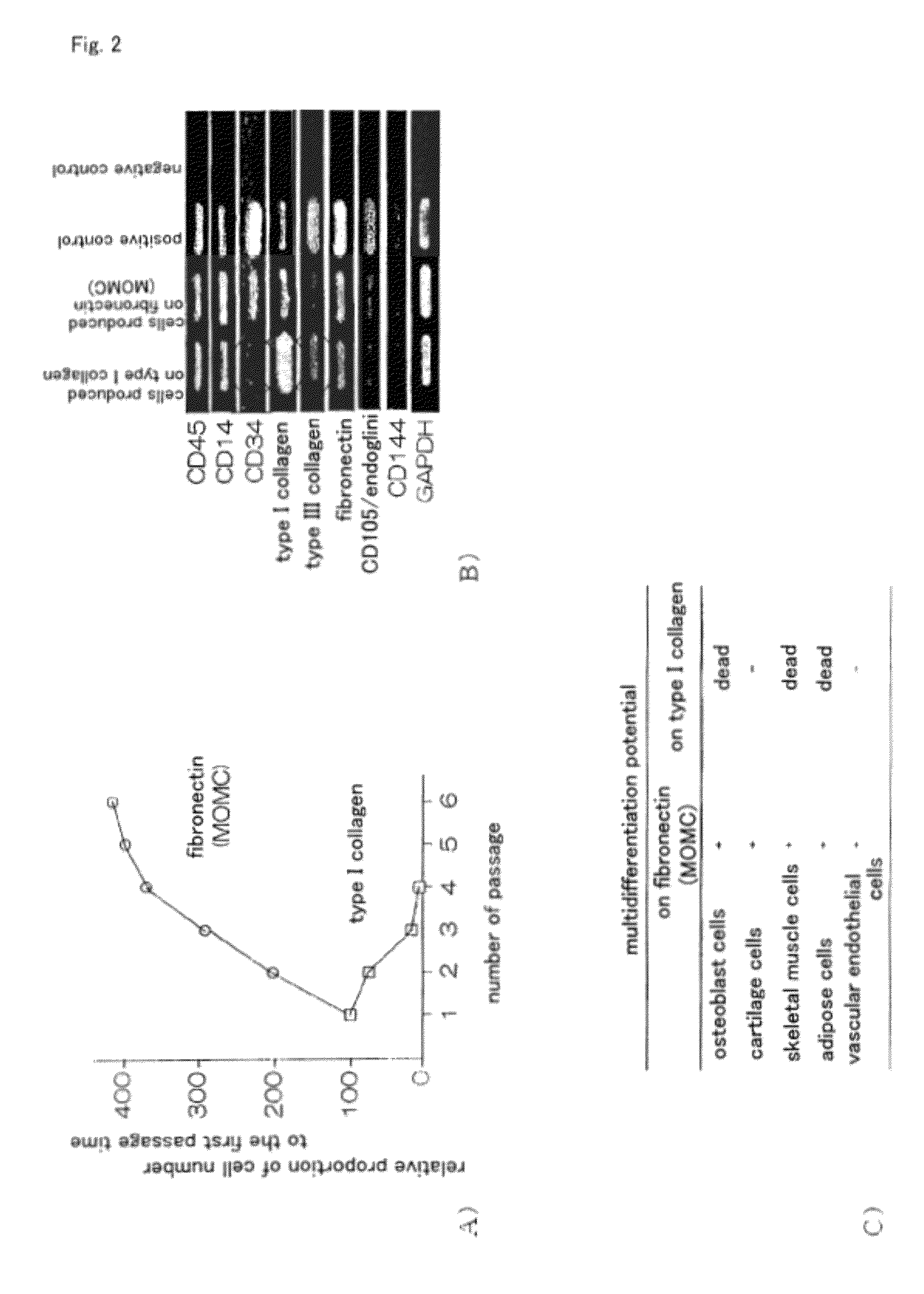 Method for efficient production of monocyte-derived multipotent cell (MOMC)