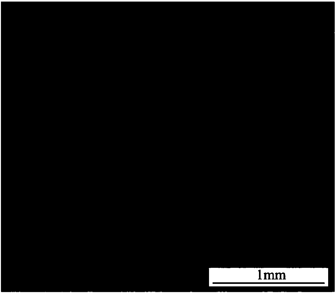 Titanium/tricalcium phosphate/titanium mesh composite material for bone implantation material, and preparation method thereof