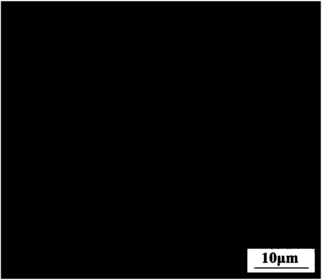 Titanium/tricalcium phosphate/titanium mesh composite material for bone implantation material, and preparation method thereof