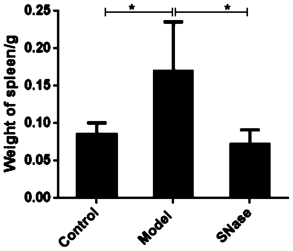 Application of snase in preparation of medicine for treating inflammatory bowel disease