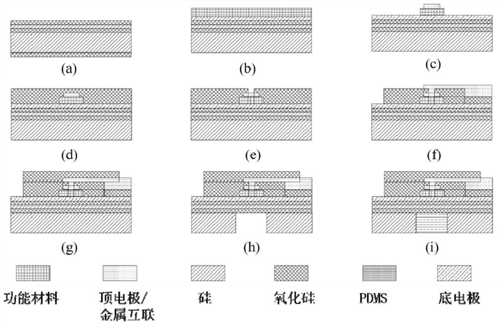 Back lining type high-frequency broadband PMUT unit and PMUT array