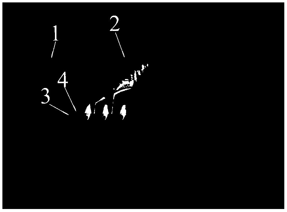 Test setup for multi-jet side jets