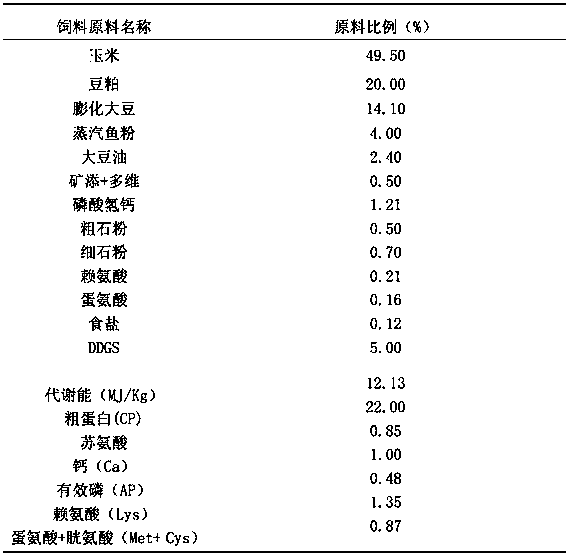 Chinese herbal feed additive for improving growth performance of chicks infected with salmonella