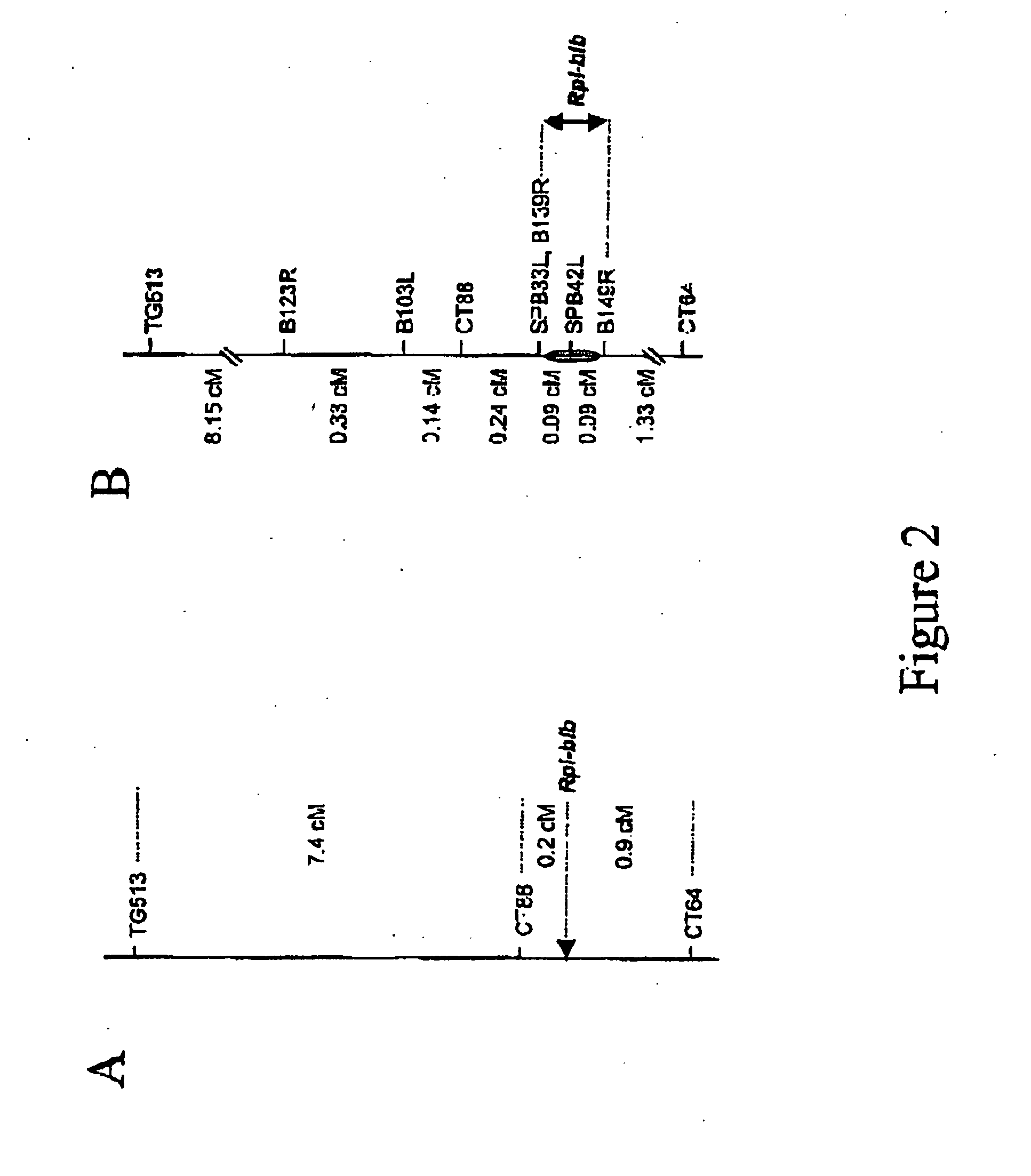 Isolated nucleic acids encoding resistance polypeptides and uses thereof