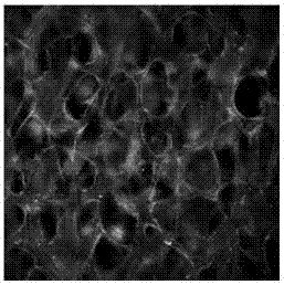 A three-dimensional porous microfluidic chip and its preparation method and application