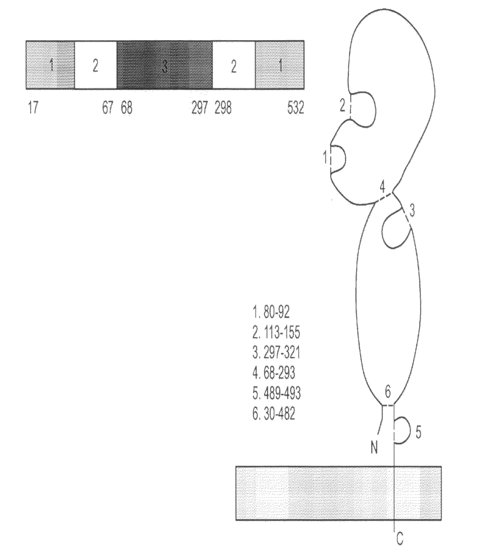 Prophylactic and therapeutic influenza vaccines, antigens, compositions and methods
